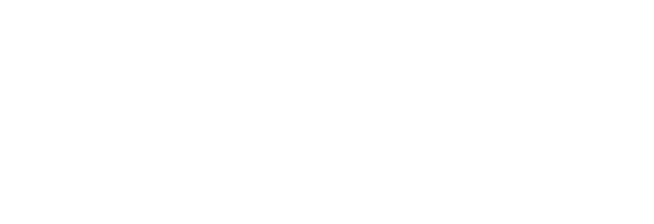 logo de website